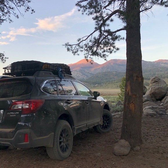 Meet your Posher, Gibby - Picture 2 of 2